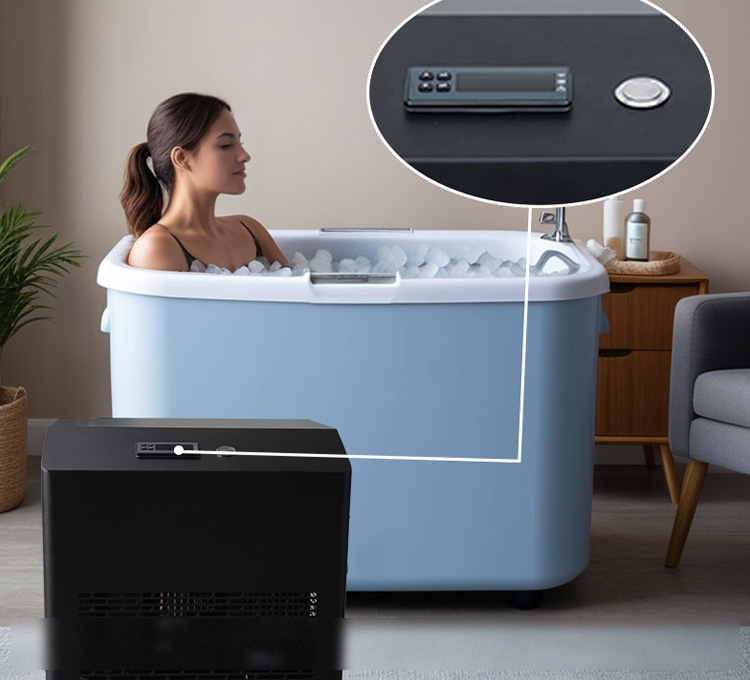 Professional Sports & Athletic Training Centers